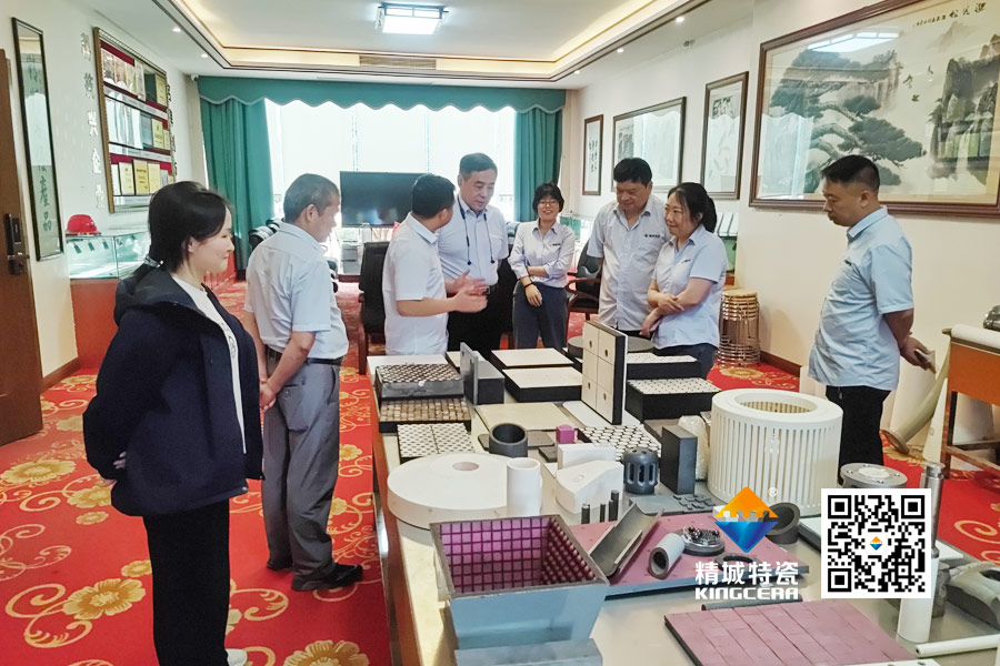 清华大学潘伟教授到访头号玩家官网特瓷