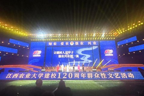 头等玩家官网-不凡成就非凡,相信品牌力量