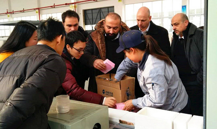 头等玩家官网-不凡成就非凡,相信品牌力量