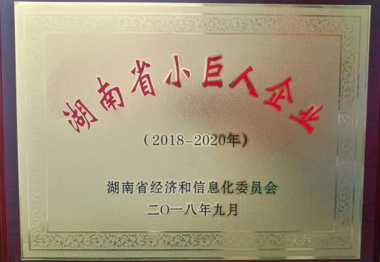 头等玩家官网-不凡成就非凡,相信品牌力量